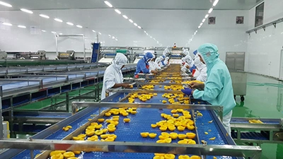 Línea de producción de melocotón en conserva