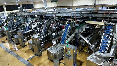 Línea de producción de sardinas enlatadas en Filipinas