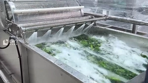 Lavadora de vegetales