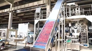 Línea de producción de pimientos encurtidos