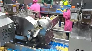 Línea de producción de maíz enlatado