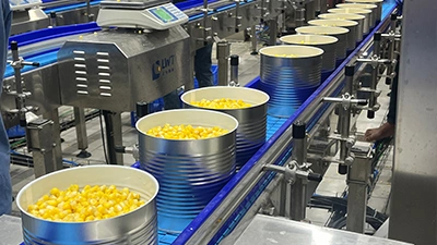 Línea de producción de maíz enlatado
