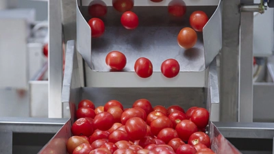 Línea de producción de kepchup y salsa de tomate enlatada