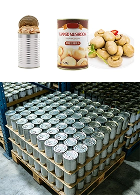 Muestras de productos terminados