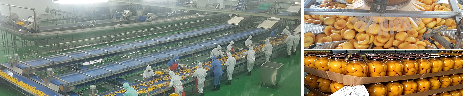Línea de producción de melocotón enlatado