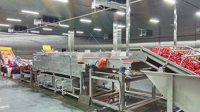 Línea de producción de pimientos encurtidos
