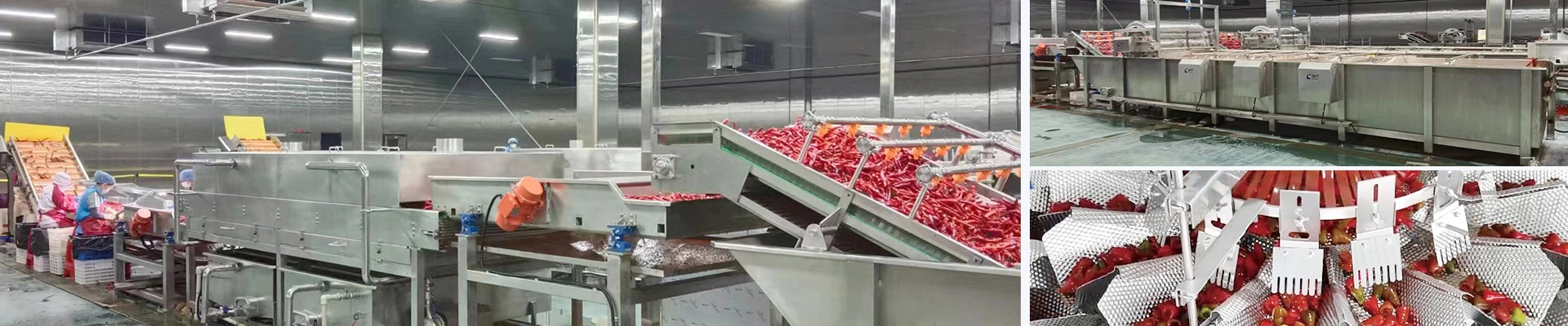 Línea de producción de pimientos encurtidos