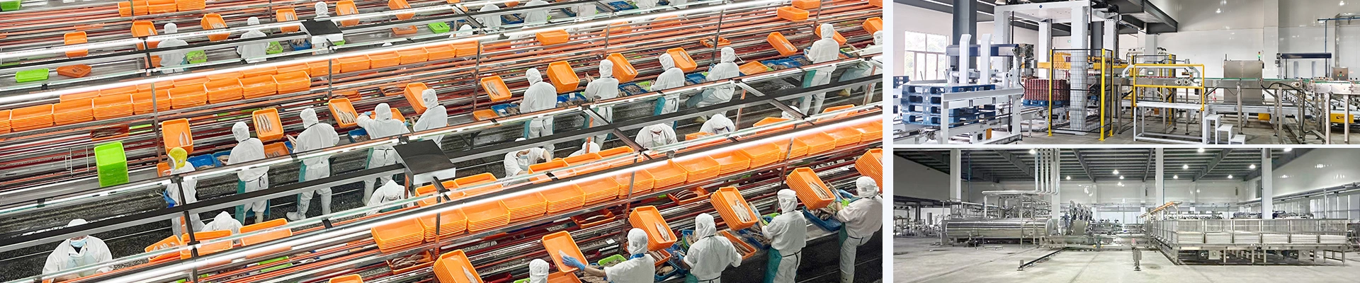 Línea de producción de atún