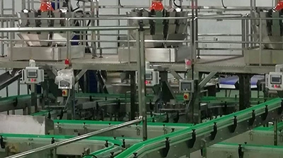Línea de producción de melocotón en conserva