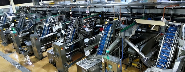 Línea de producción de sardinas enlatadas en Filipinas