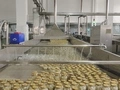 Esterilizador y pasteurizador