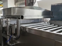 Pasteurizador por baño de agua con transportador de rodillos