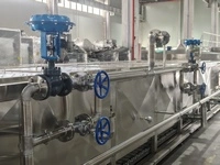 Pasteurizador por baño de agua con transportador de rodillos