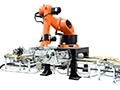 Paletizador y despaletizador robotizado